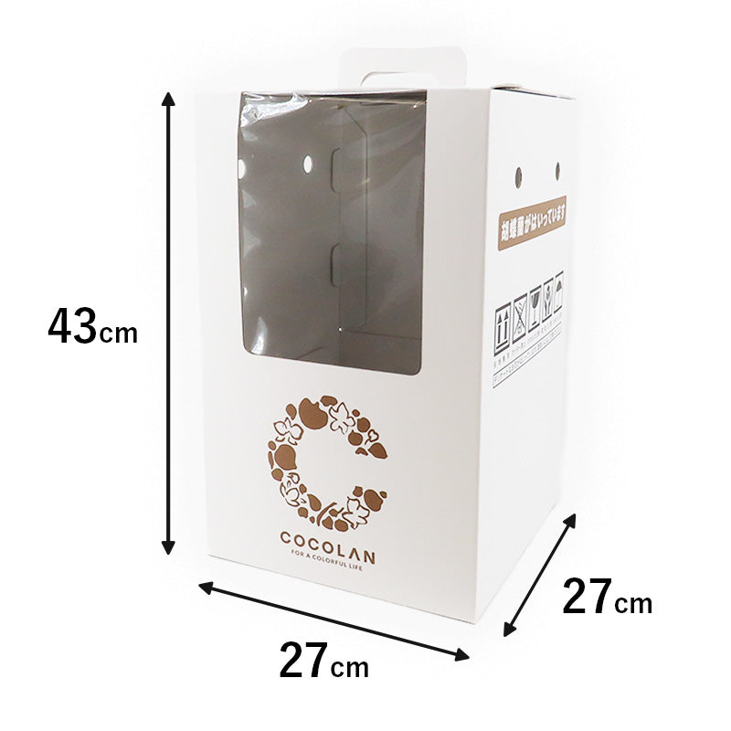 【限定商品】ミニ胡蝶蘭_白茜(ダークグレー)