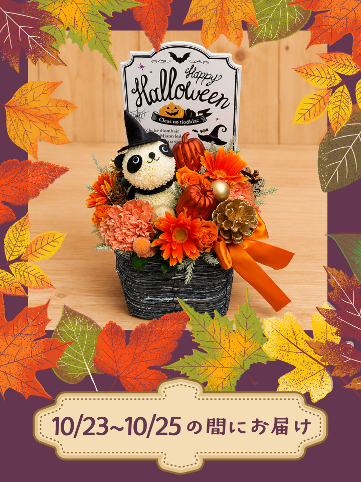 【2026年秋ギフトお届け限定】花パンダ ハッピーハロウィン