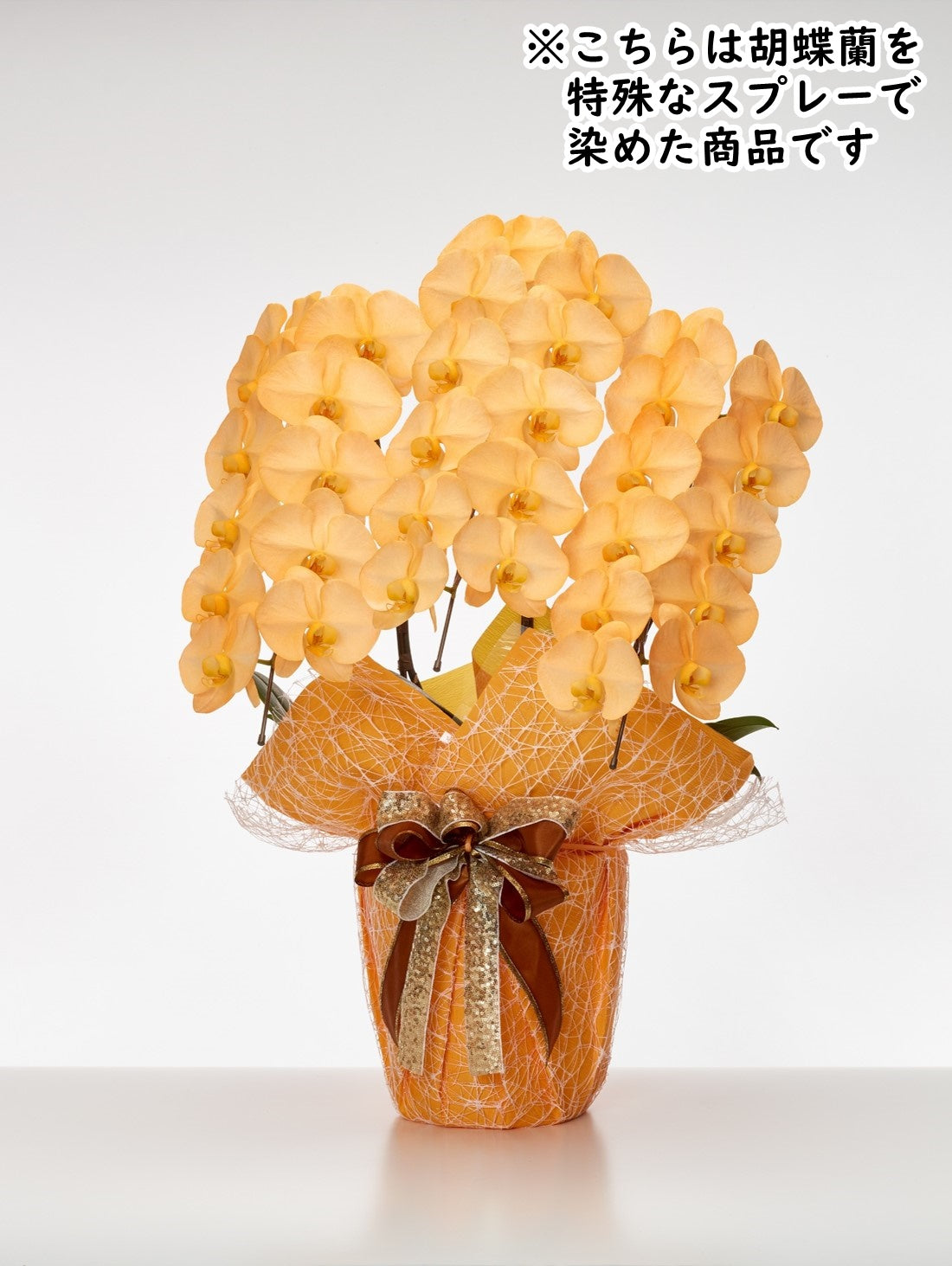 胡蝶蘭_大輪(オレンジ) 3本立(33輪)