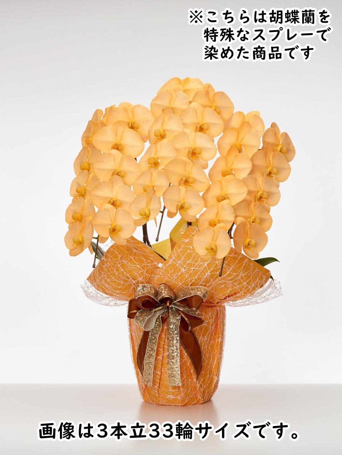 胡蝶蘭_大輪(オレンジ) 5本立(60輪)