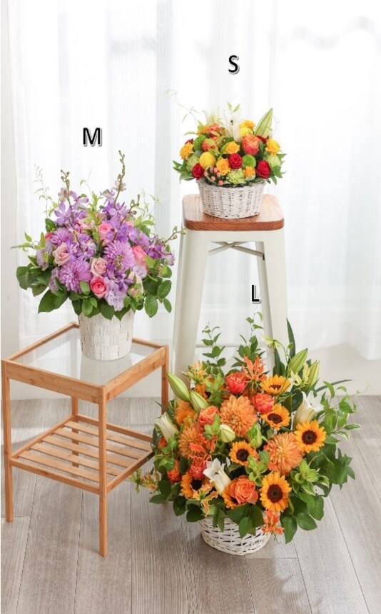 サイズ比較 S、M、Lサイズ