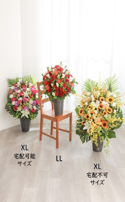 サイズ比較 LL、XLサイズ