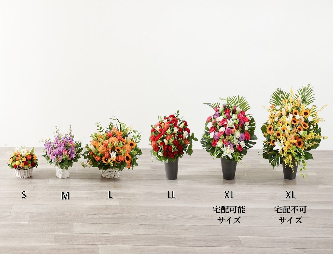 サイズ比較 S、M、L、LL、XLサイズ