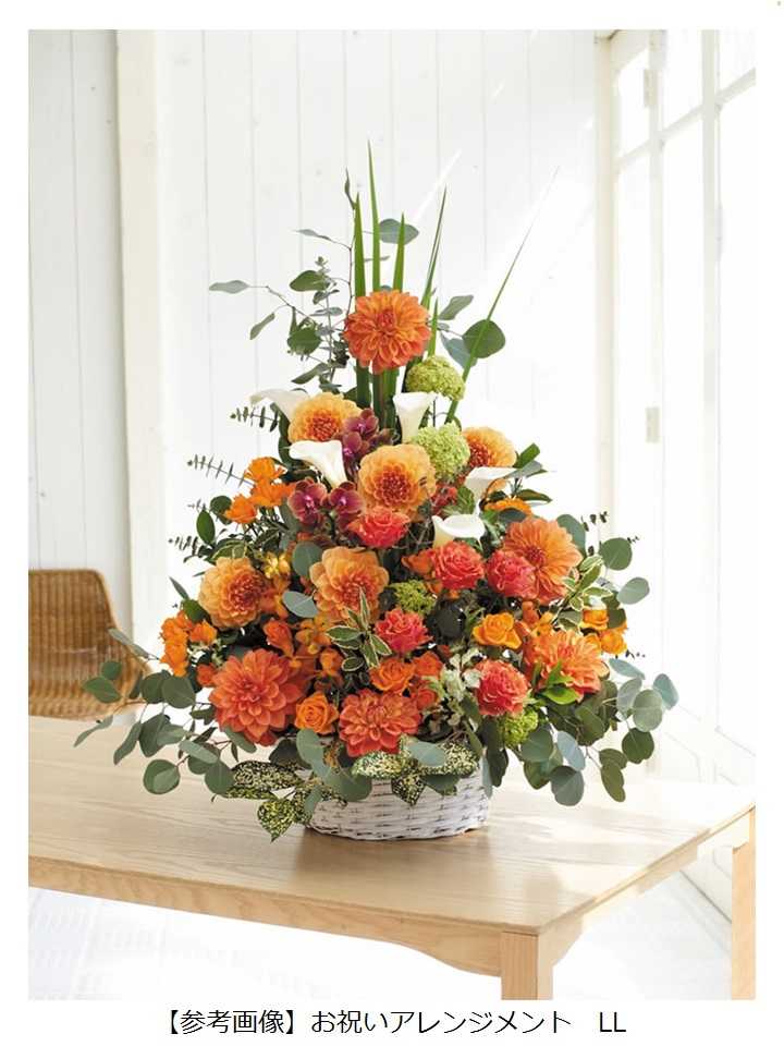 アレンジ_お祝いアレンジLL