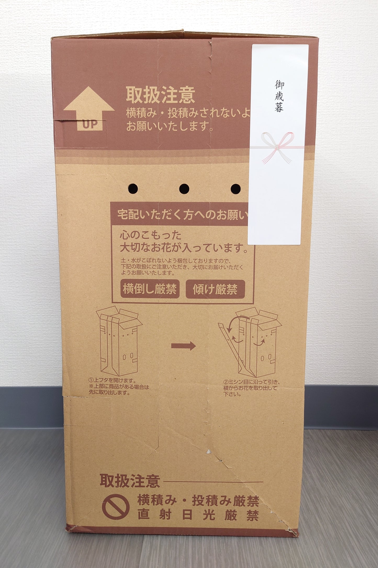 【お歳暮】プリンセチア　ホットピンク