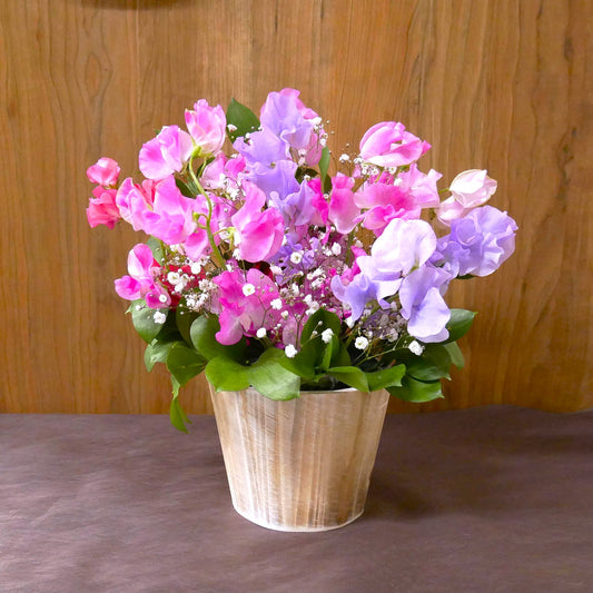 【2月限定】アレンジ_誕生花アレンジSS＜スイートピー＞