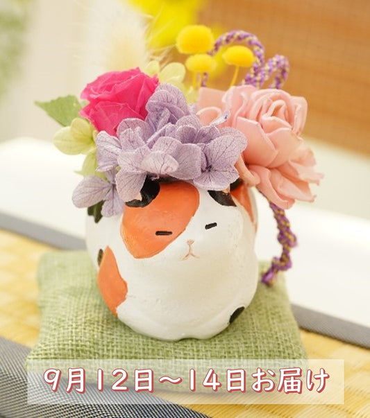 【2025年敬老の日お届け限定】プリザーブドアレンジ　くつろぎねこさん　座布団付き