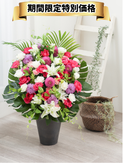 アレンジ_お祝いアレンジXL　※宅配可