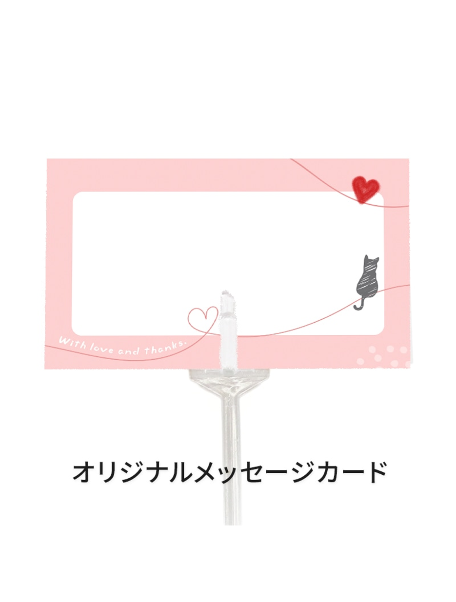 【限定商品】ミニ胡蝶蘭_白茜(ダークグレー)